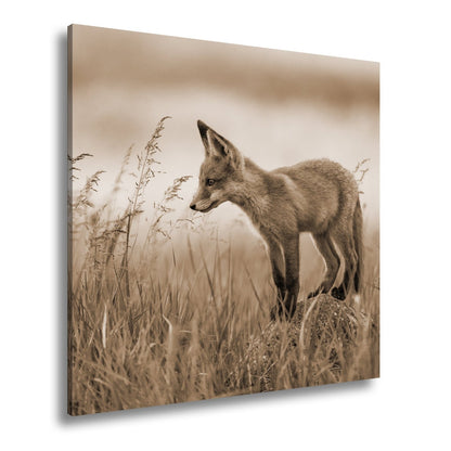 Leinwandbild XXL Fuchs – Jung, neugierig, bereit – ein Fuchs entdeckt die Welt. - deyoli