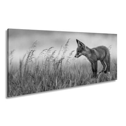 Leinwandbild XXL Fuchs – Jung, neugierig, bereit – ein Fuchs entdeckt die Welt. - deyoli