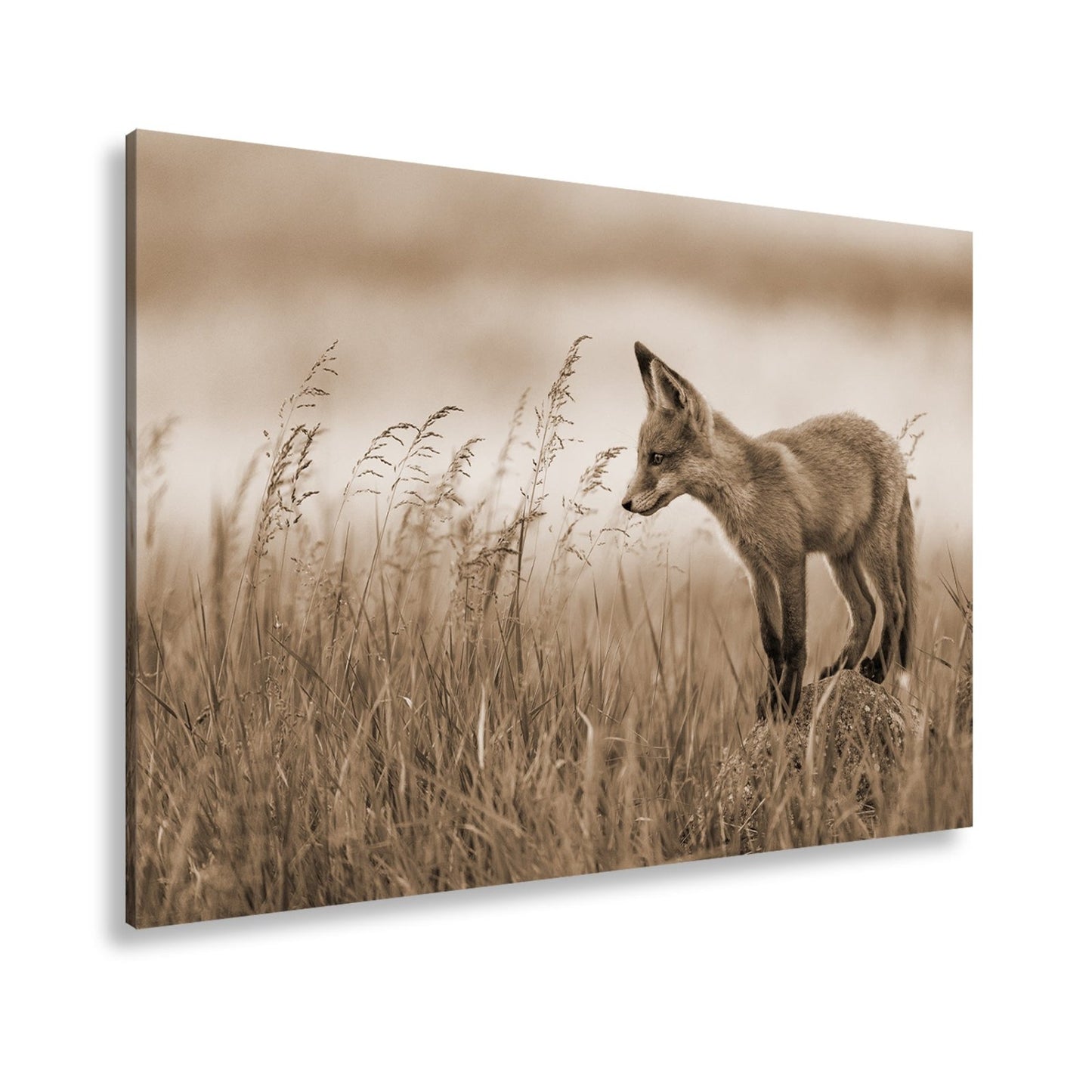 Leinwandbild XXL Fuchs – Jung, neugierig, bereit – ein Fuchs entdeckt die Welt. - deyoli