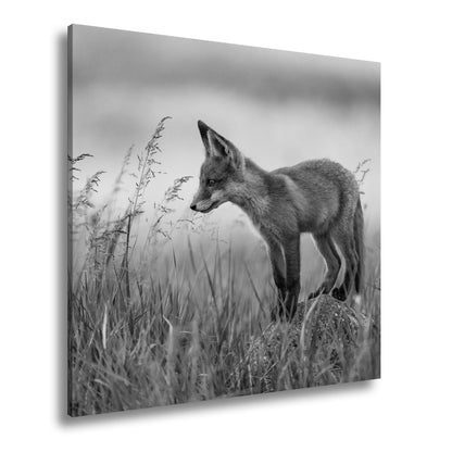 Leinwandbild XXL Fuchs – Jung, neugierig, bereit – ein Fuchs entdeckt die Welt. - deyoli