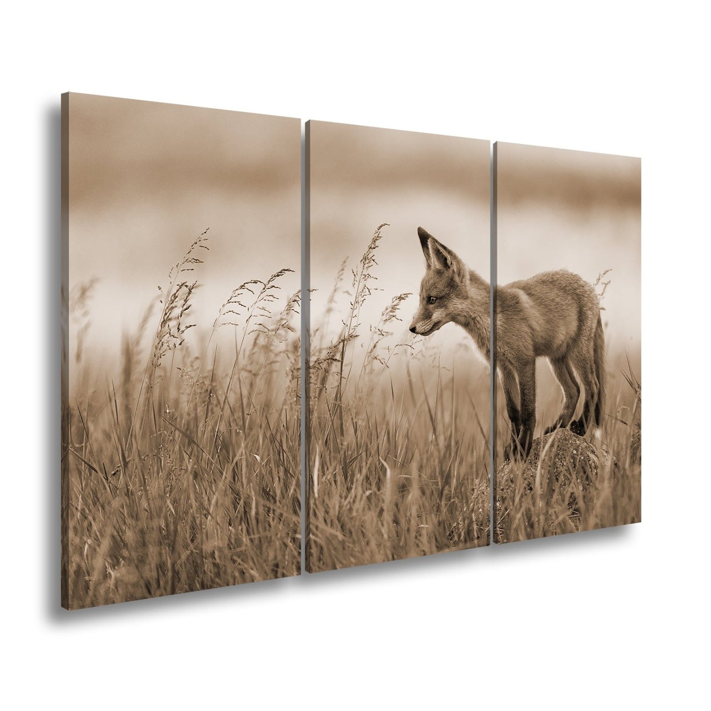 Leinwandbild XXL Fuchs – Jung, neugierig, bereit – ein Fuchs entdeckt die Welt. - deyoli