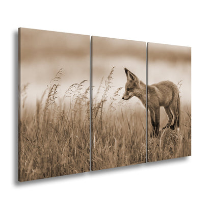 Leinwandbild XXL Fuchs – Jung, neugierig, bereit – ein Fuchs entdeckt die Welt. - deyoli