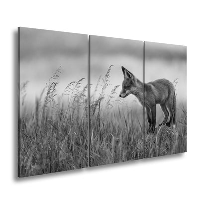 Leinwandbild XXL Fuchs – Jung, neugierig, bereit – ein Fuchs entdeckt die Welt. - deyoli