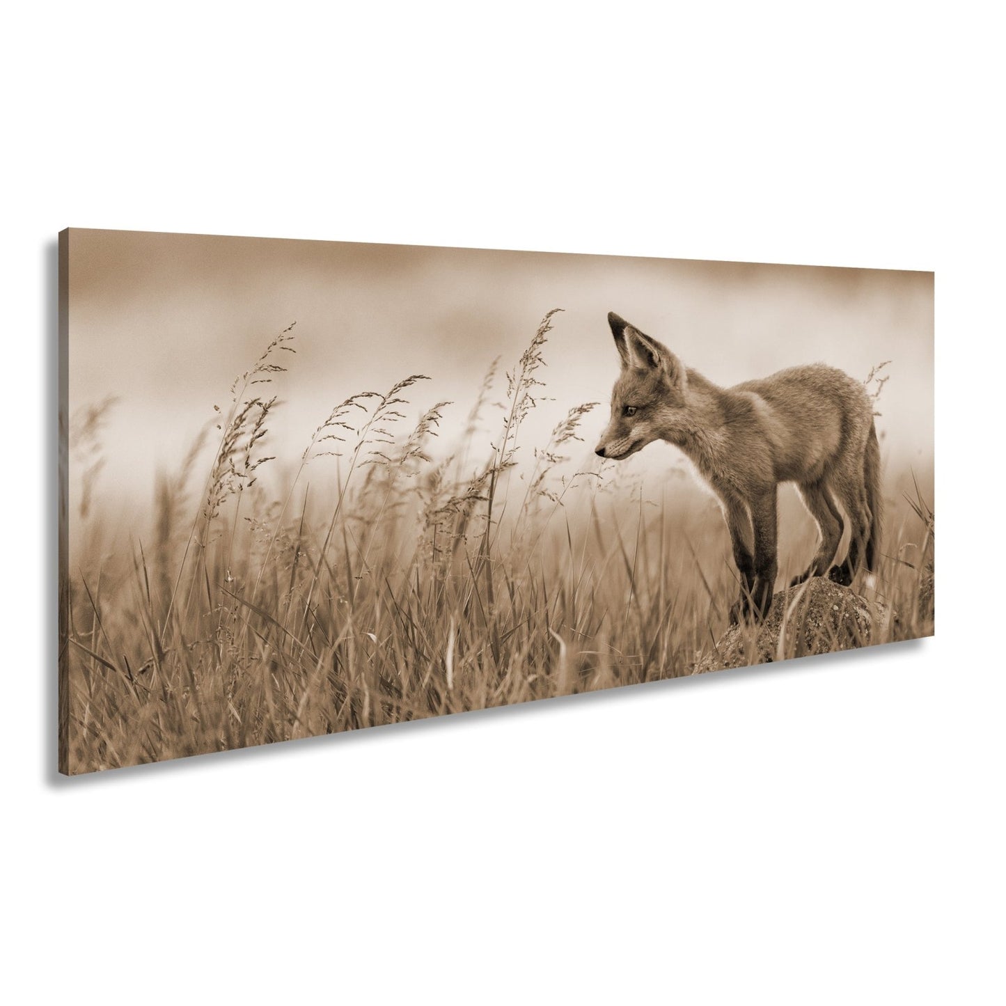 Leinwandbild XXL Fuchs – Jung, neugierig, bereit – ein Fuchs entdeckt die Welt. - deyoli