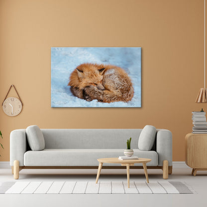 Leinwandbild XXL Fuchs – Schlafender Fuchs im Winterflaum - deyoli