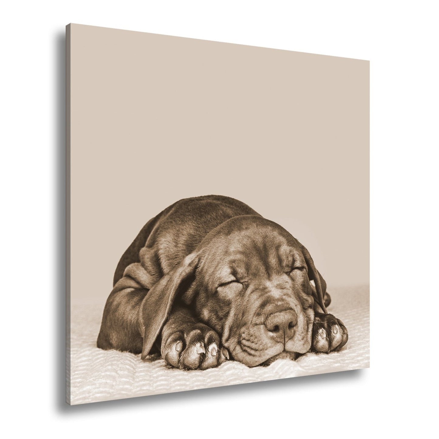 Leinwandbild XXL Hund Welpe – Welpenfrieden Kunstdruck - deyoli