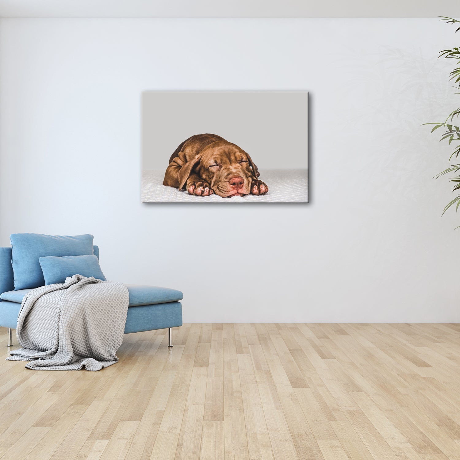 Leinwandbild XXL Hund Welpe – Welpenfrieden Kunstdruck - deyoli