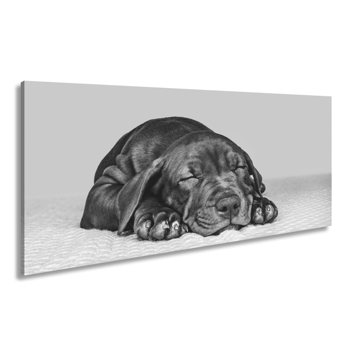 Leinwandbild XXL Hund Welpe – Welpenfrieden Kunstdruck - deyoli