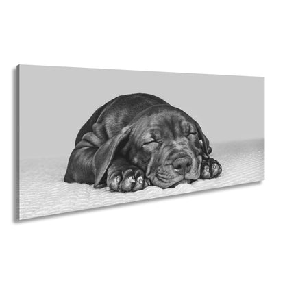 Leinwandbild XXL Hund Welpe – Welpenfrieden Kunstdruck - deyoli