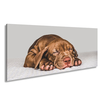 Leinwandbild XXL Hund Welpe – Welpenfrieden Kunstdruck - deyoli