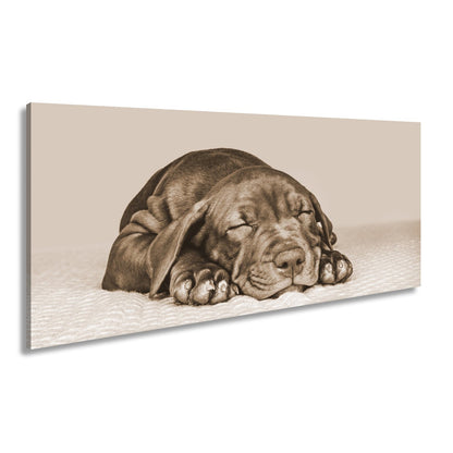 Leinwandbild XXL Hund Welpe – Welpenfrieden Kunstdruck - deyoli