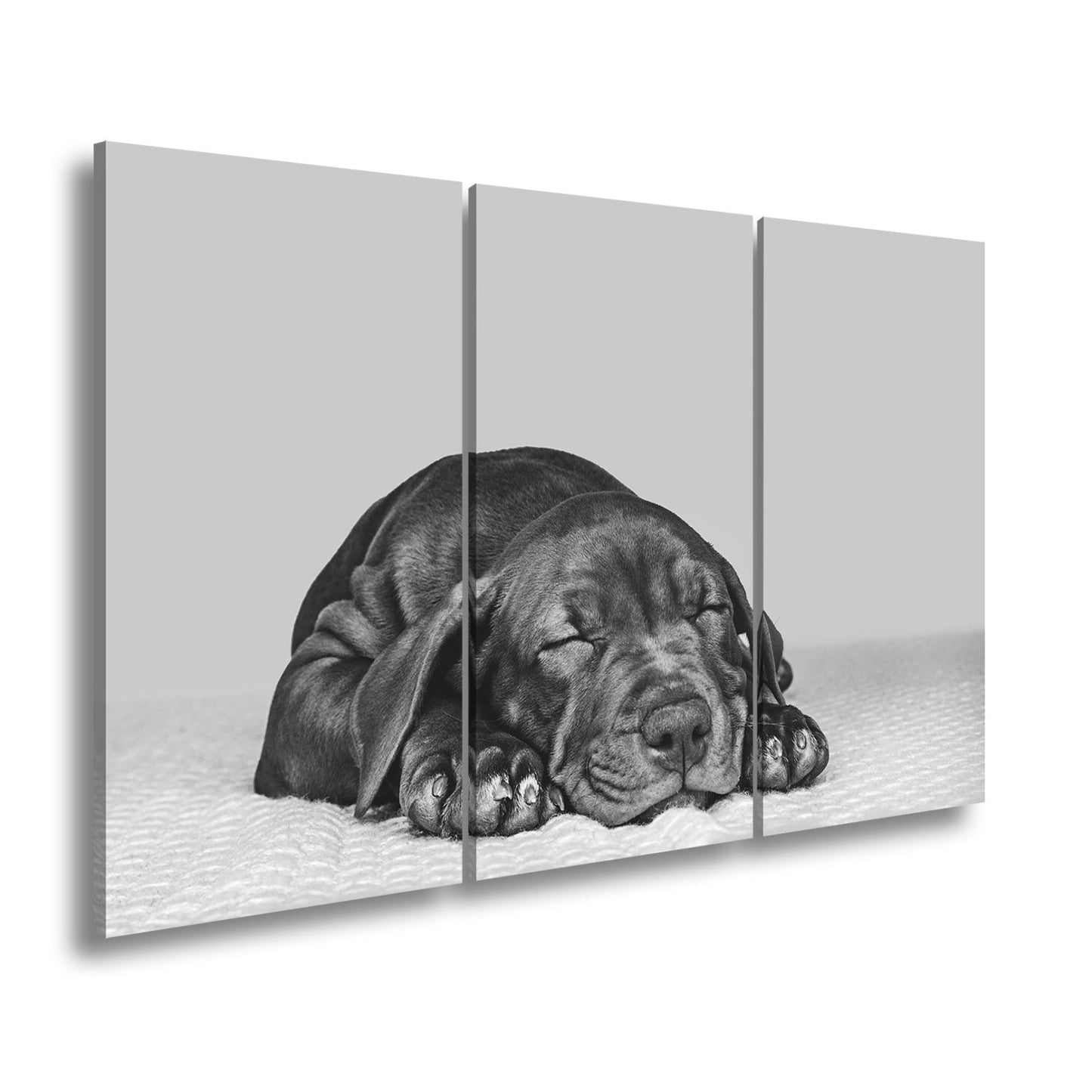 Leinwandbild XXL Hund Welpe – Welpenfrieden Kunstdruck - deyoli