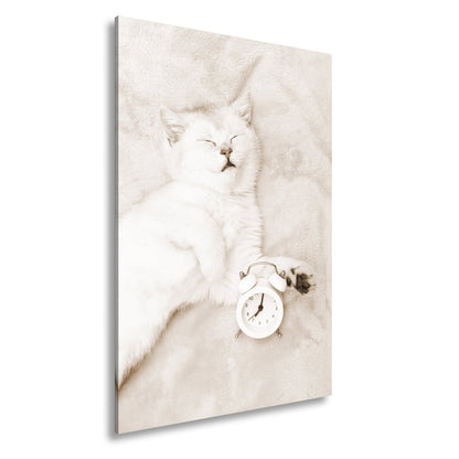 Leinwandbild XXL Katze – Katzenruhe mit Wecker - deyoli