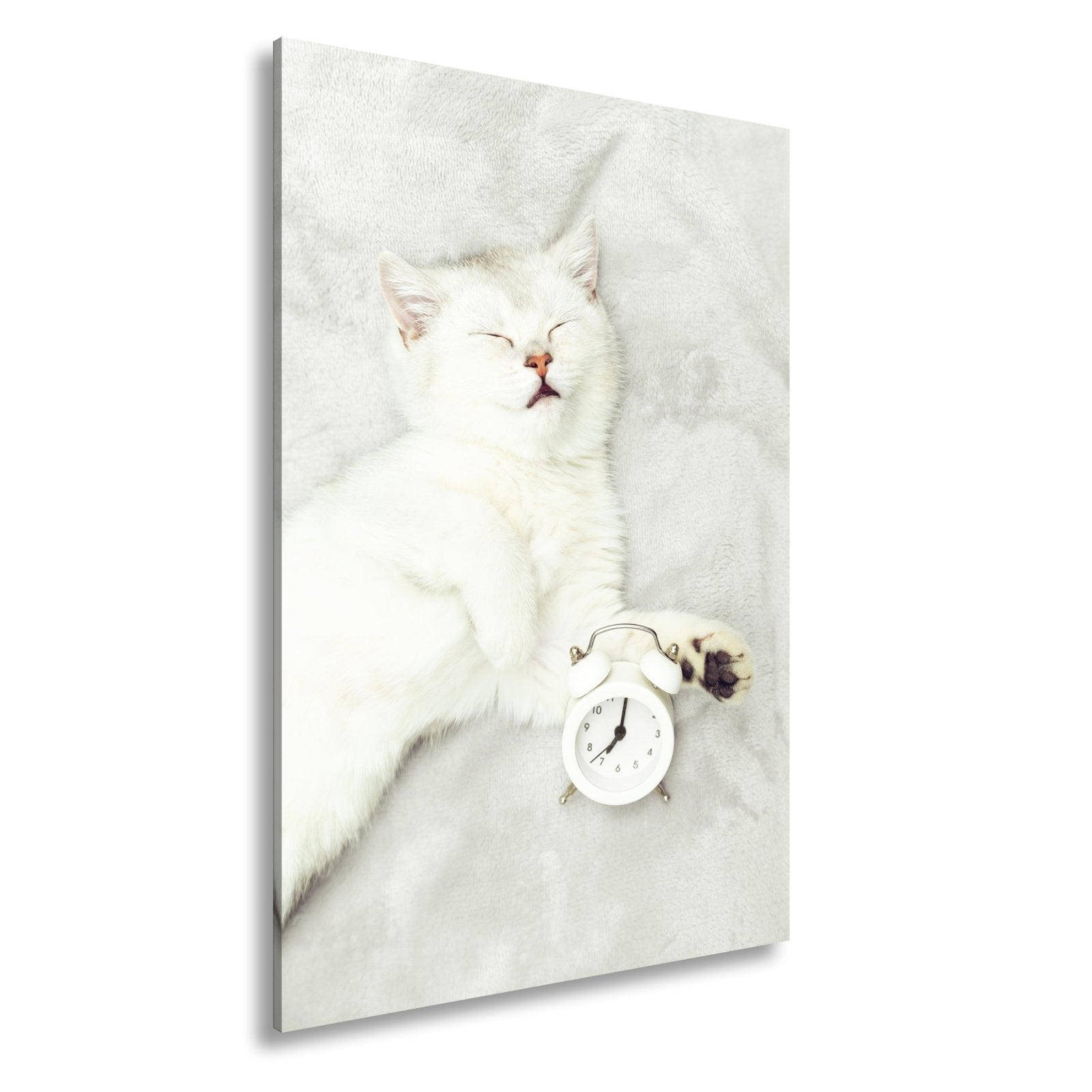Leinwandbild XXL Katze – Katzenruhe mit Wecker - deyoli