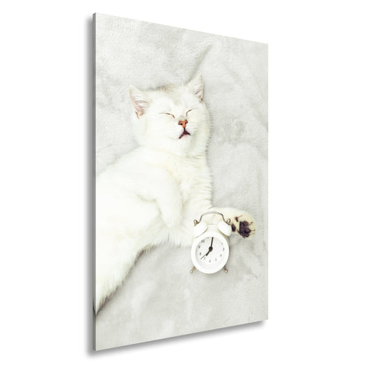 Leinwandbild XXL Katze – Katzenruhe mit Wecker - deyoli