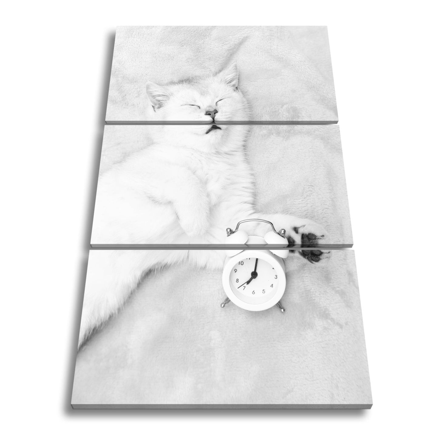 Leinwandbild XXL Katze – Katzenruhe mit Wecker - deyoli