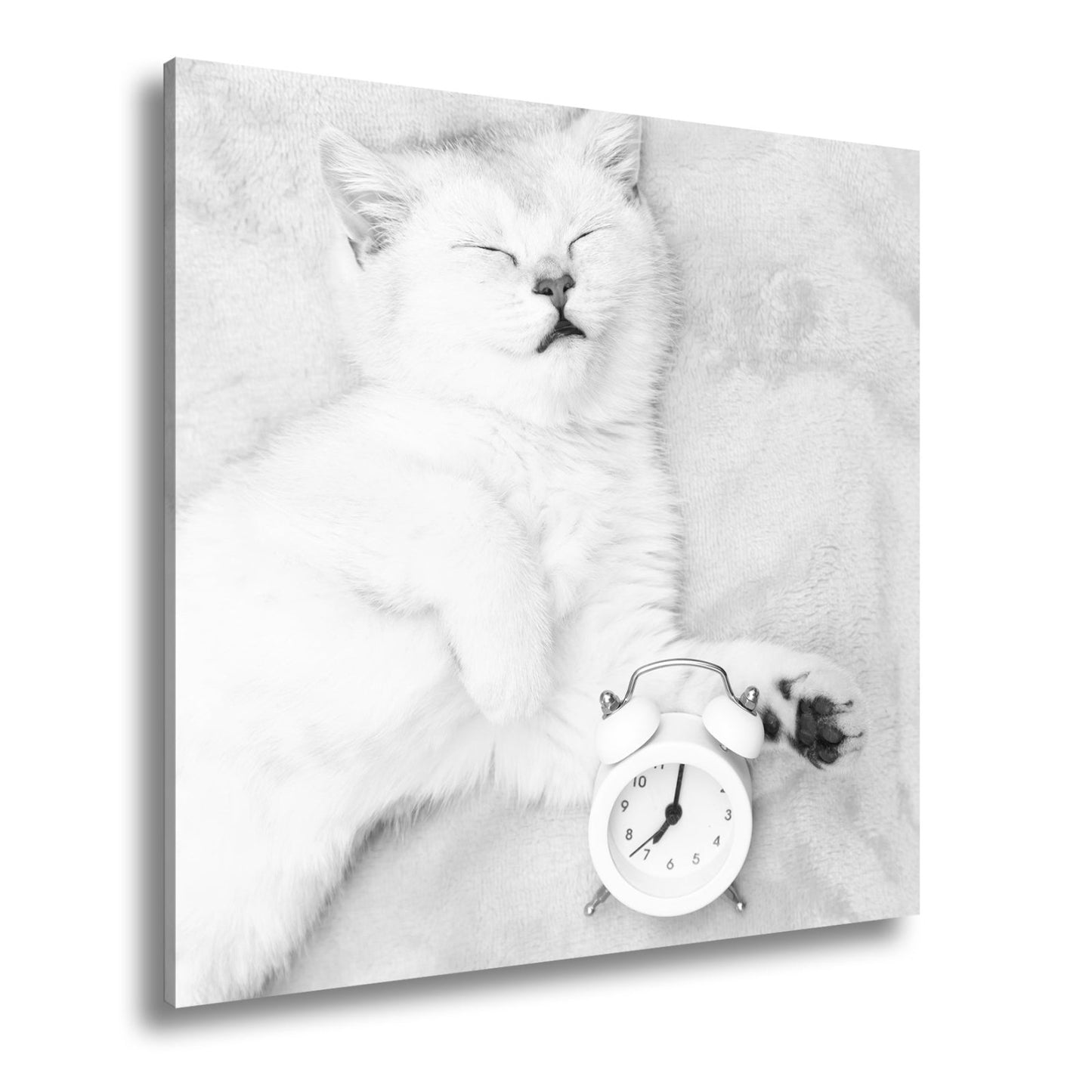 Leinwandbild XXL Katze – Katzenruhe mit Wecker - deyoli