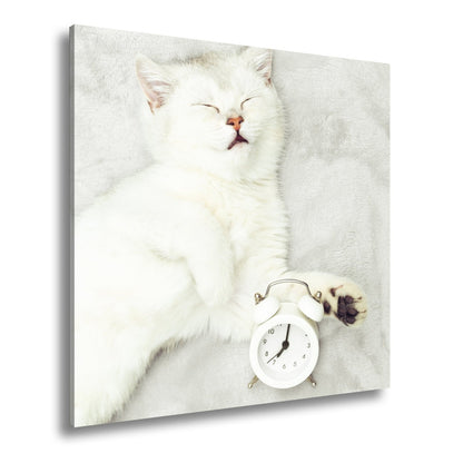 Leinwandbild XXL Katze – Katzenruhe mit Wecker - deyoli