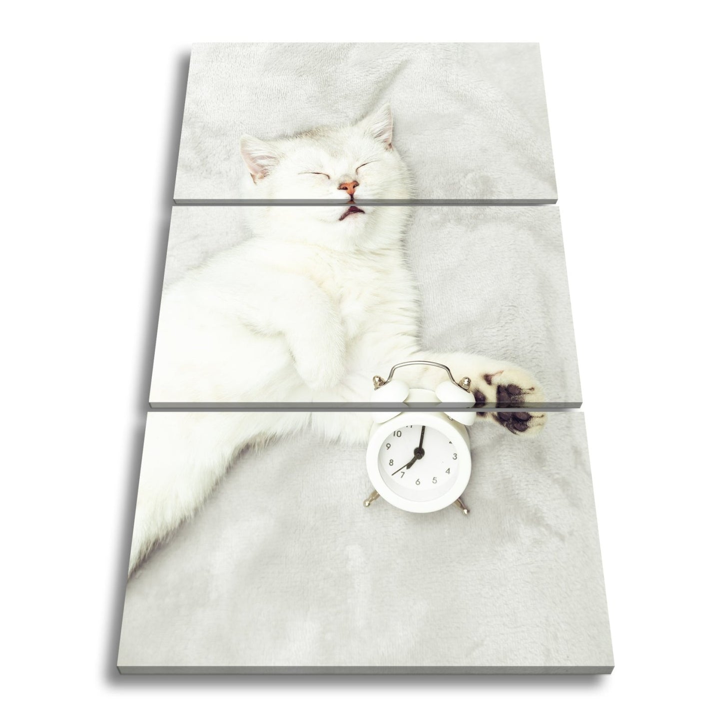 Leinwandbild XXL Katze – Katzenruhe mit Wecker - deyoli