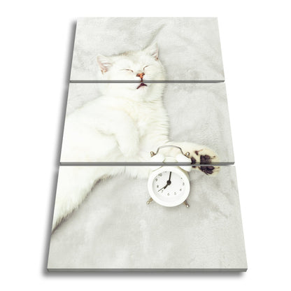 Leinwandbild XXL Katze – Katzenruhe mit Wecker - deyoli