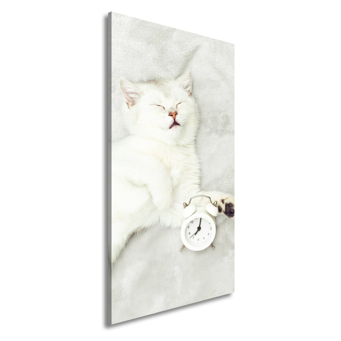 Leinwandbild XXL Katze – Katzenruhe mit Wecker - deyoli