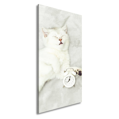 Leinwandbild XXL Katze – Katzenruhe mit Wecker - deyoli