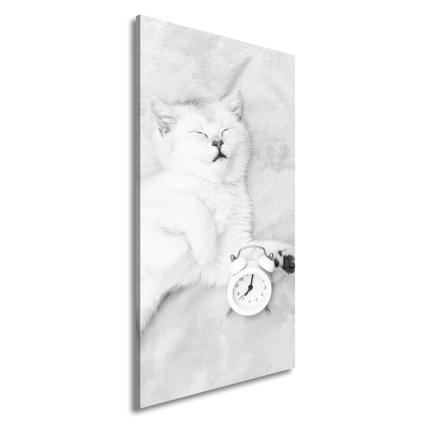 Leinwandbild XXL Katze – Katzenruhe mit Wecker - deyoli