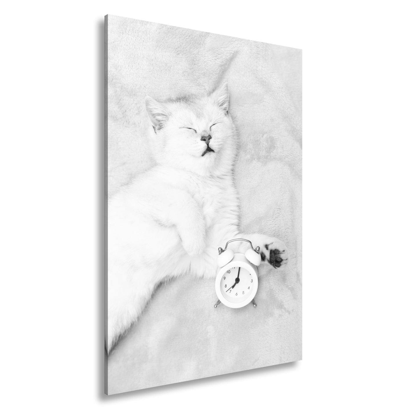 Leinwandbild XXL Katze – Katzenruhe mit Wecker - deyoli