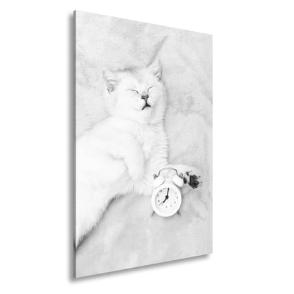 Leinwandbild XXL Katze – Katzenruhe mit Wecker - deyoli