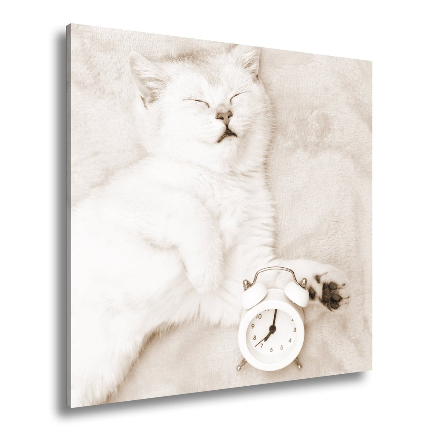 Leinwandbild XXL Katze – Katzenruhe mit Wecker - deyoli