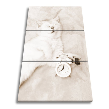 Leinwandbild XXL Katze – Katzenruhe mit Wecker - deyoli