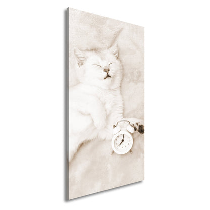 Leinwandbild XXL Katze – Katzenruhe mit Wecker - deyoli