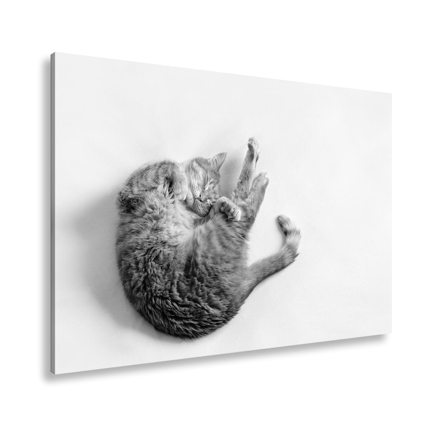 Leinwandbild XXL Katze – Rotgetigerter Traum Wandbild / Wohnzimmer Dekoration - deyoli