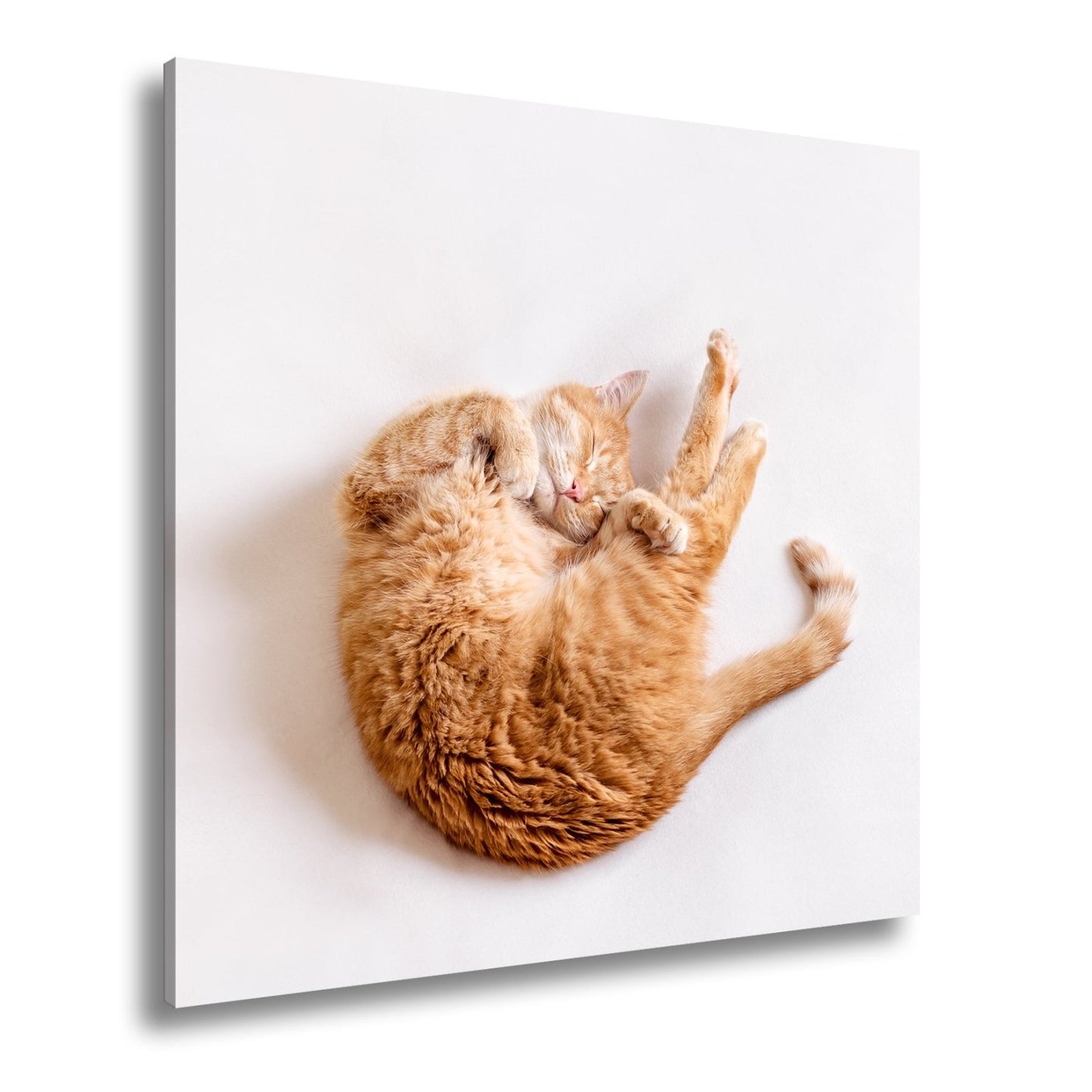Leinwandbild XXL Katze – Rotgetigerter Traum Wandbild / Wohnzimmer Dekoration - deyoli