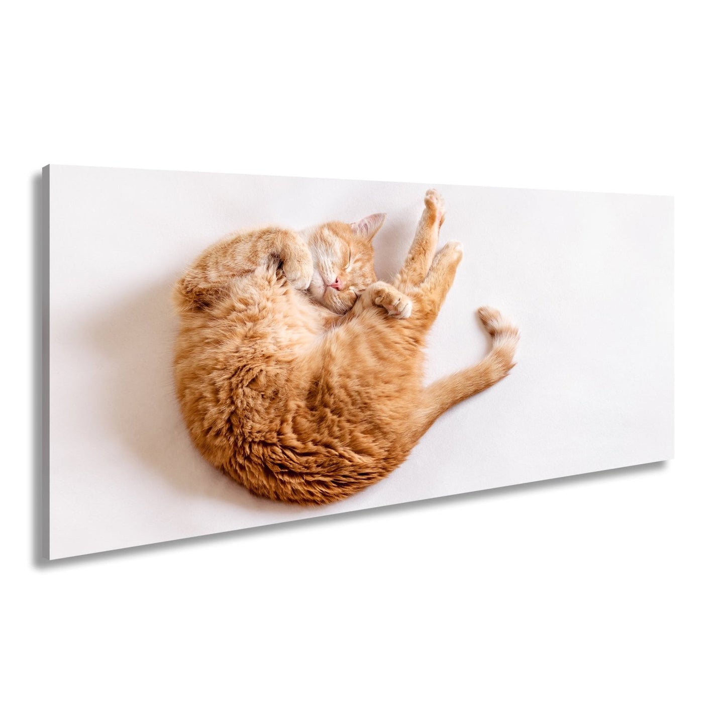 Leinwandbild XXL Katze – Rotgetigerter Traum Wandbild / Wohnzimmer Dekoration - deyoli