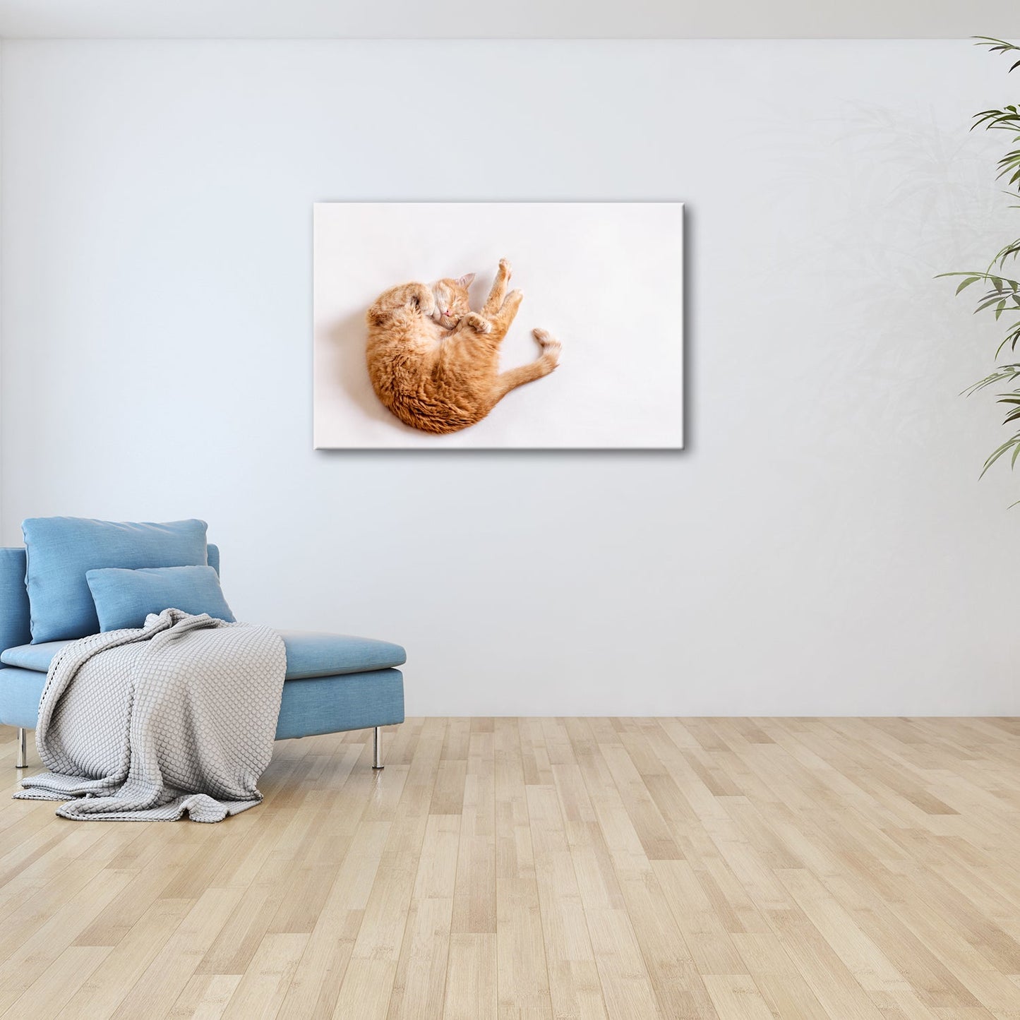 Leinwandbild XXL Katze – Rotgetigerter Traum Wandbild / Wohnzimmer Dekoration - deyoli