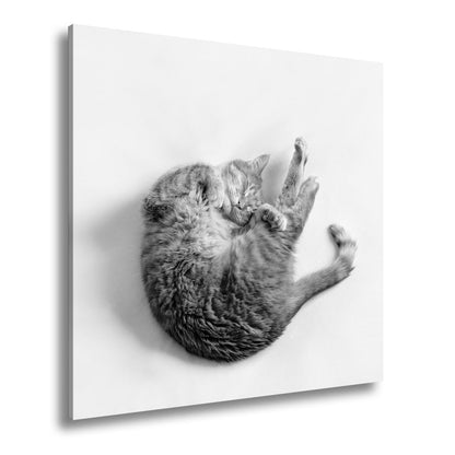 Leinwandbild XXL Katze – Rotgetigerter Traum Wandbild / Wohnzimmer Dekoration - deyoli