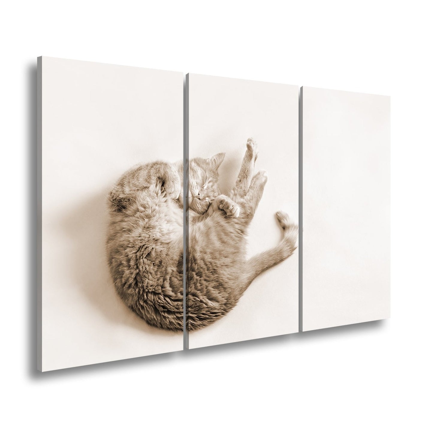 Leinwandbild XXL Katze – Rotgetigerter Traum Wandbild / Wohnzimmer Dekoration - deyoli