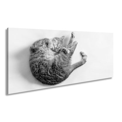 Leinwandbild XXL Katze – Rotgetigerter Traum Wandbild / Wohnzimmer Dekoration - deyoli