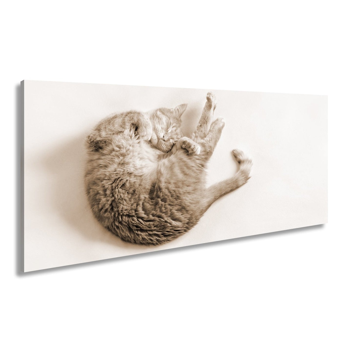 Leinwandbild XXL Katze – Rotgetigerter Traum Wandbild / Wohnzimmer Dekoration - deyoli