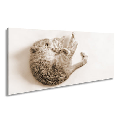 Leinwandbild XXL Katze – Rotgetigerter Traum Wandbild / Wohnzimmer Dekoration - deyoli