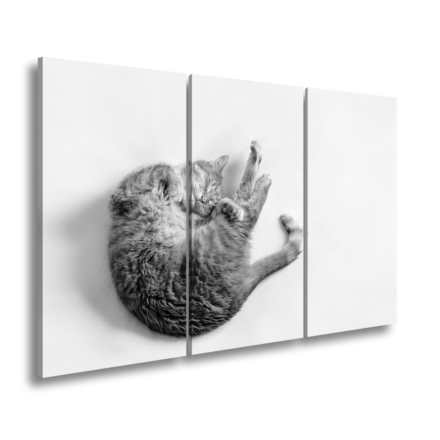 Leinwandbild XXL Katze – Rotgetigerter Traum Wandbild / Wohnzimmer Dekoration - deyoli