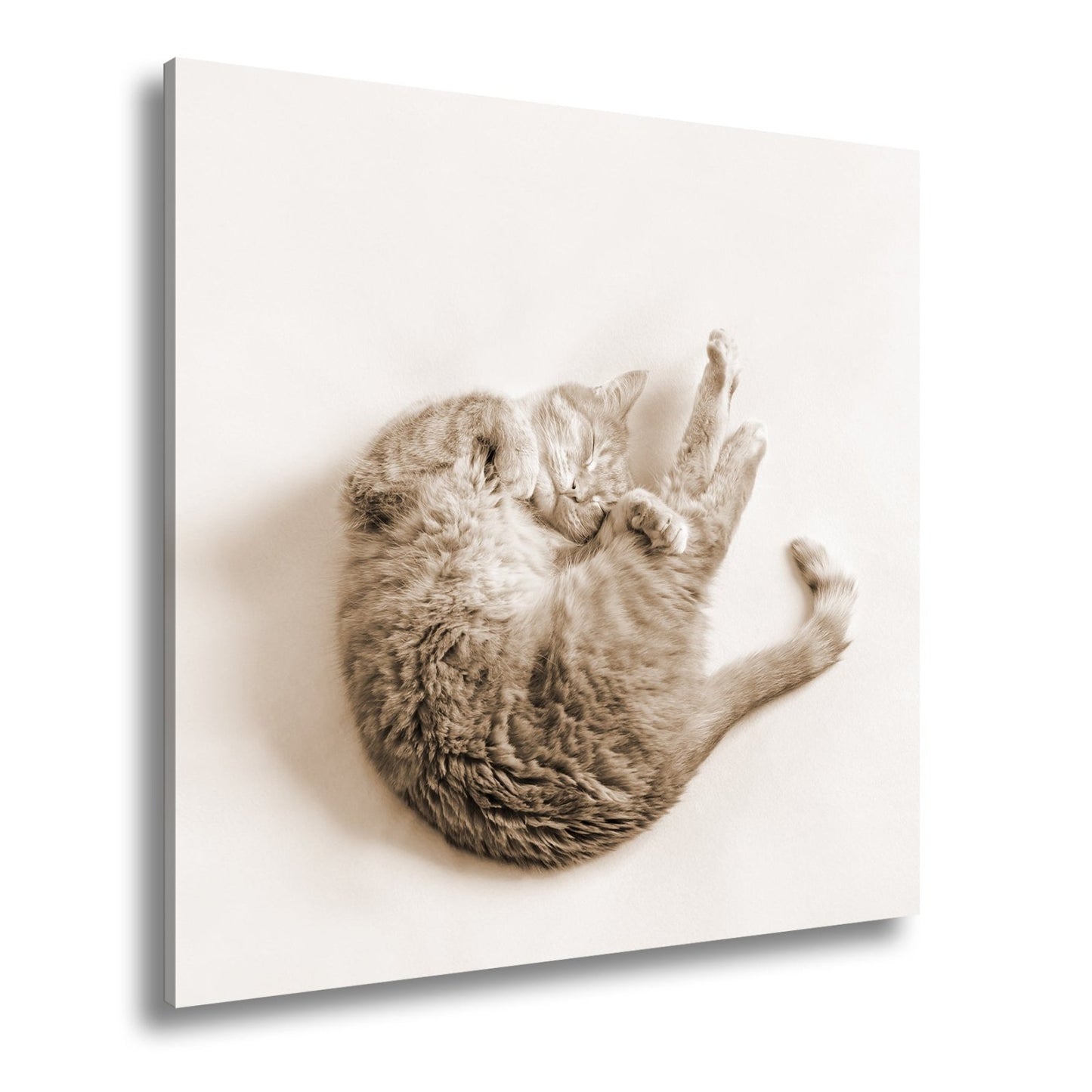 Leinwandbild XXL Katze – Rotgetigerter Traum Wandbild / Wohnzimmer Dekoration - deyoli