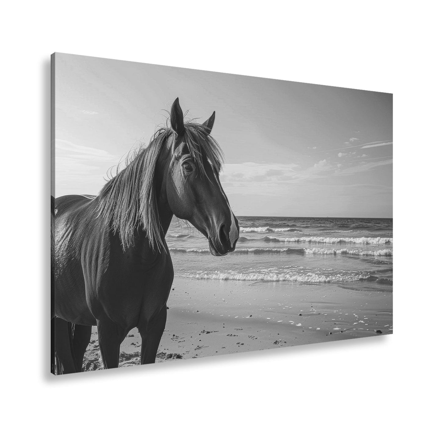 Leinwandbild XXL Pferd Meer – Edles Ross am Strand - deyoli