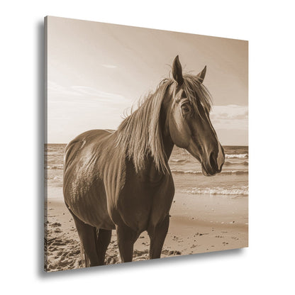 Leinwandbild XXL Pferd Meer – Edles Ross am Strand - deyoli