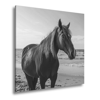 Leinwandbild XXL Pferd Meer – Edles Ross am Strand - deyoli