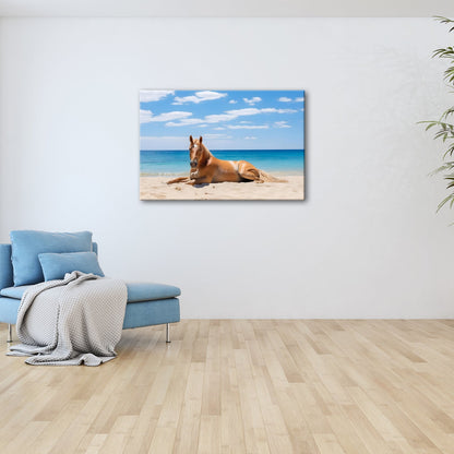 Leinwandbild XXL Pferd Strand – Entspannt im Sand - deyoli