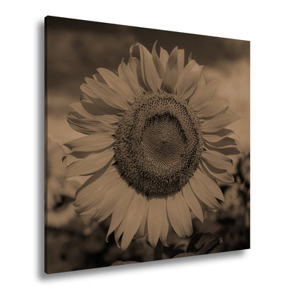 Leinwandbild XXL Sonnenblume Himmel – Dramatisch - deyoli