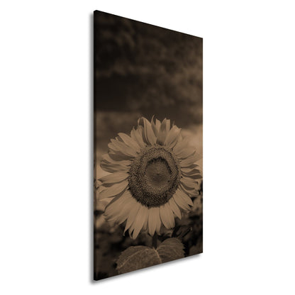 Leinwandbild XXL Sonnenblume Himmel – Dramatisch - deyoli