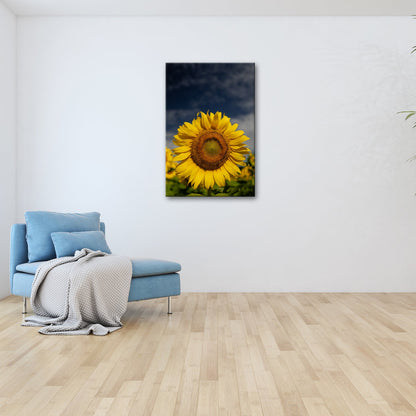 Leinwandbild XXL Sonnenblume Himmel – Dramatisch - deyoli